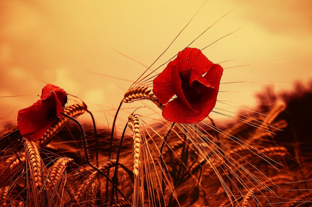 Mesečni horoskop april 2018