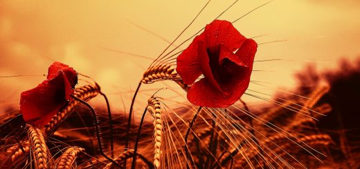 Mesečni horoskop april 2018