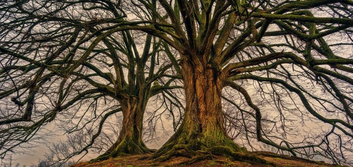 Spremembe so edini zakon v življenju