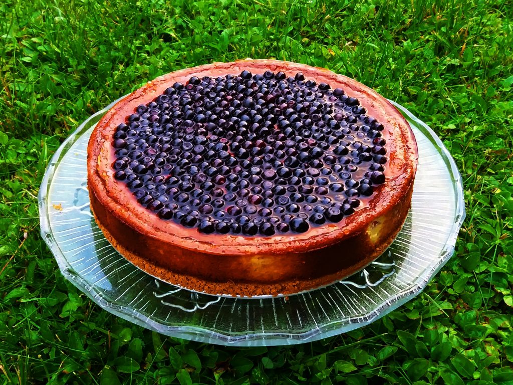 Cheesecake z borovnicami