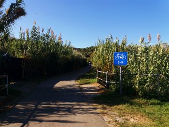 Ideja za izlet: Pot zdravja in prijateljstva Parenzana