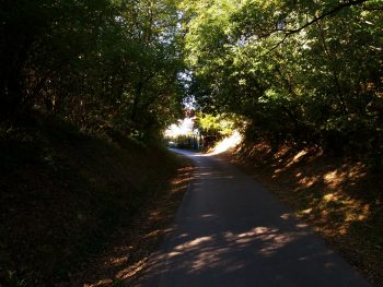 Ideja za izlet: Pot zdravja in prijateljstva Parenzana