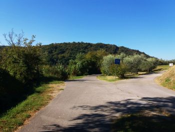 Ideja za izlet: Pot zdravja in prijateljstva Parenzana