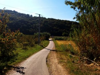 Ideja za izlet: Pot zdravja in prijateljstva Parenzana