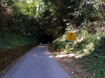 Ideja za izlet: Pot zdravja in prijateljstva Parenzana