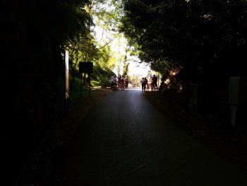 Ideja za izlet: Pot zdravja in prijateljstva Parenzana