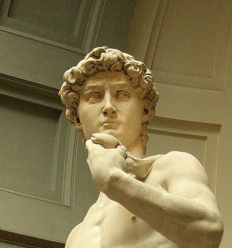 Mogocni Michelangelo in njegov David_5