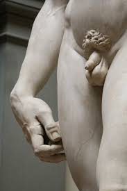 Mogocni Michelangelo in njegov David_15