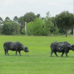 Izlet: Ravena in njeni mozaiki_2