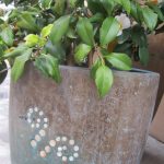 Izlet: Ravena in njeni mozaiki_73