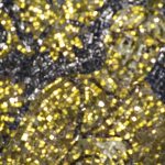 Izlet: Ravena in njeni mozaiki_71