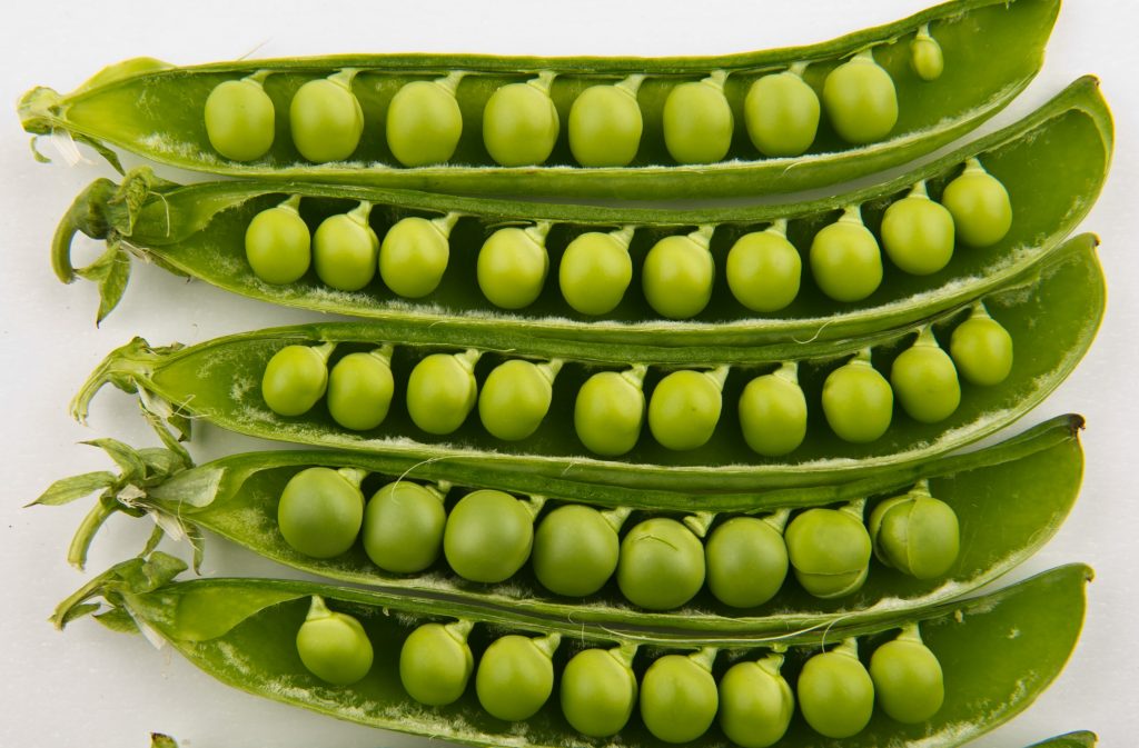 Pomen mineralov v prehrani