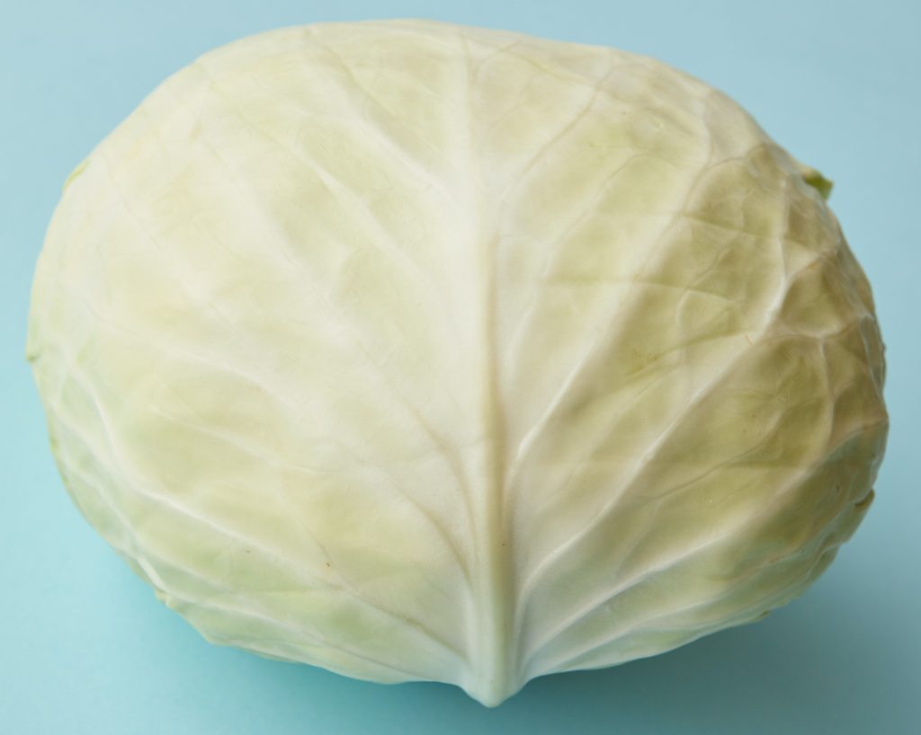 Opis diete z zeljno juho