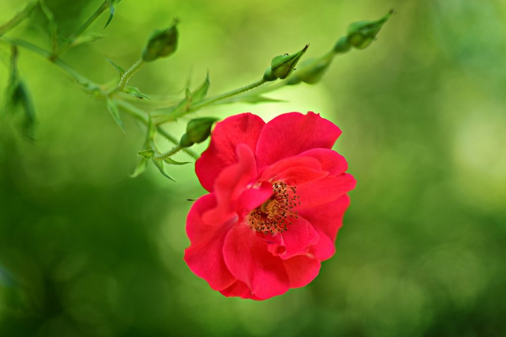 101 navdihujoča misel za vsak dan