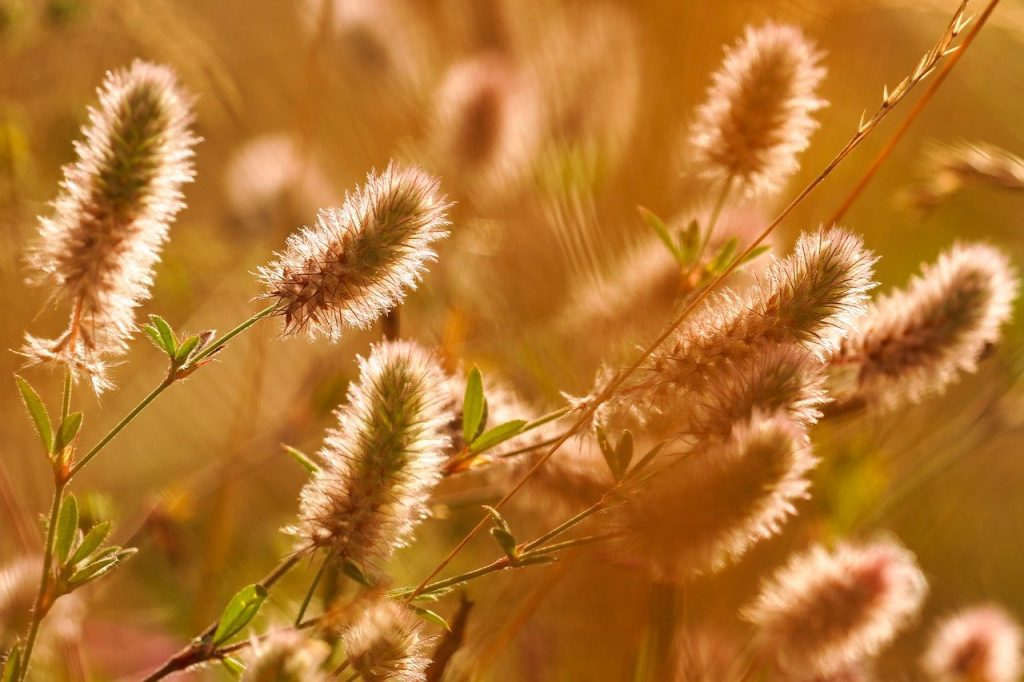 101 navdihujoča misel za vsak dan