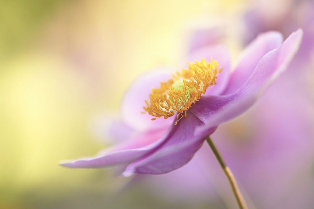 101 navdihujoča misel za vsak dan