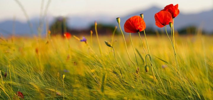 101 navdihujoča misel za vsak dan