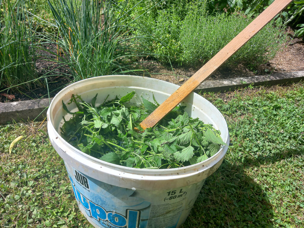 Koprive – najboljše domače škropivo/gnojilo za vrt