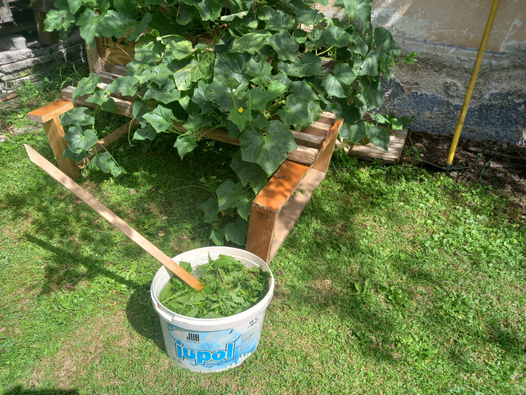 Koprive – najboljše domače škropivo/gnojilo za vrt