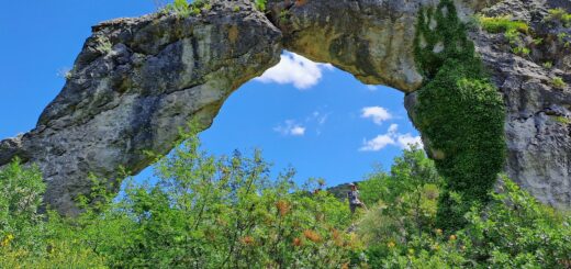 Tolstoj, oblica in odrešilni otroški jok na Jelenovem otoku (gr. Brentonida; ilirsko brenton = jelen) ali Braču