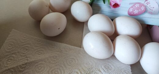 Kako iz jajc izbrisati vtisnjene številke in skuhati jajca, da ne počijo?