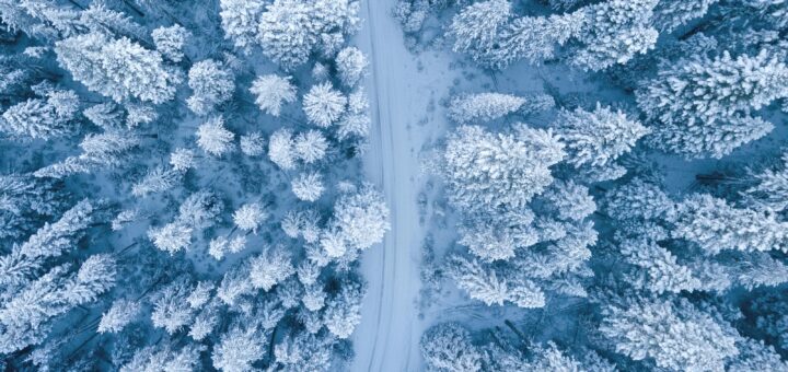 Zima: čas umiritve nas pripravlja na nove začetke