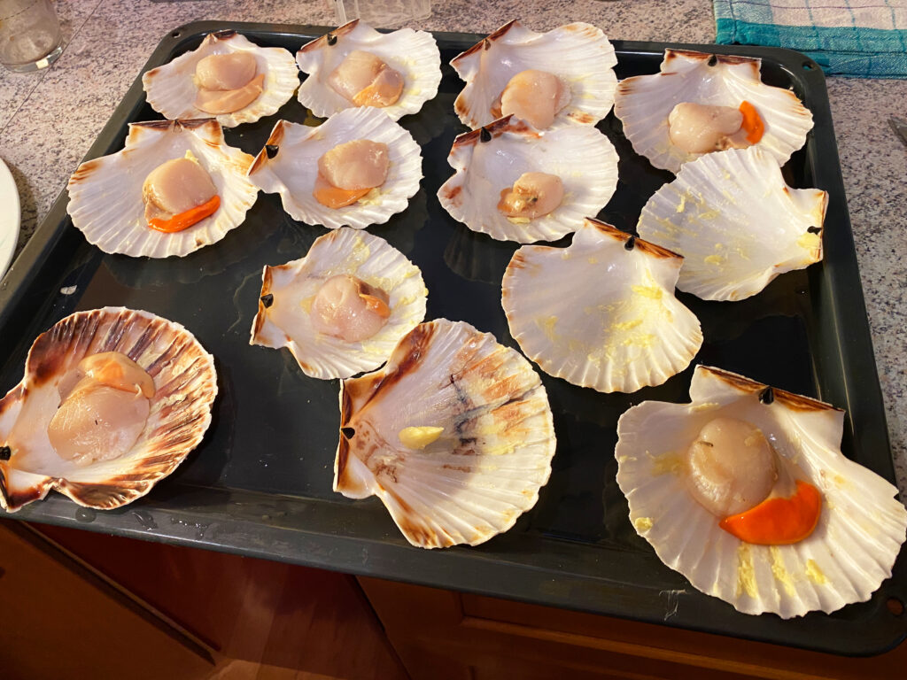 Recept za gratinirane Jakobove pokrovače – kapesante