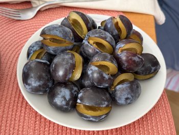 Recept za slivove cmoke ('češplove knedlne')