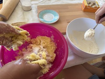 Recept za slivove cmoke ('češplove knedlne')