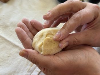 Recept za slivove cmoke ('češplove knedlne')