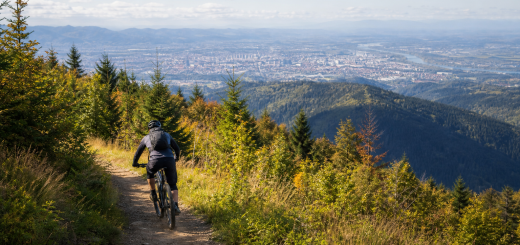 Pohodništvo in kolesarjenje na Mariborskem Pohorju
